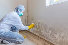 Reliable Centerville, IA Mold Inspection Solutions